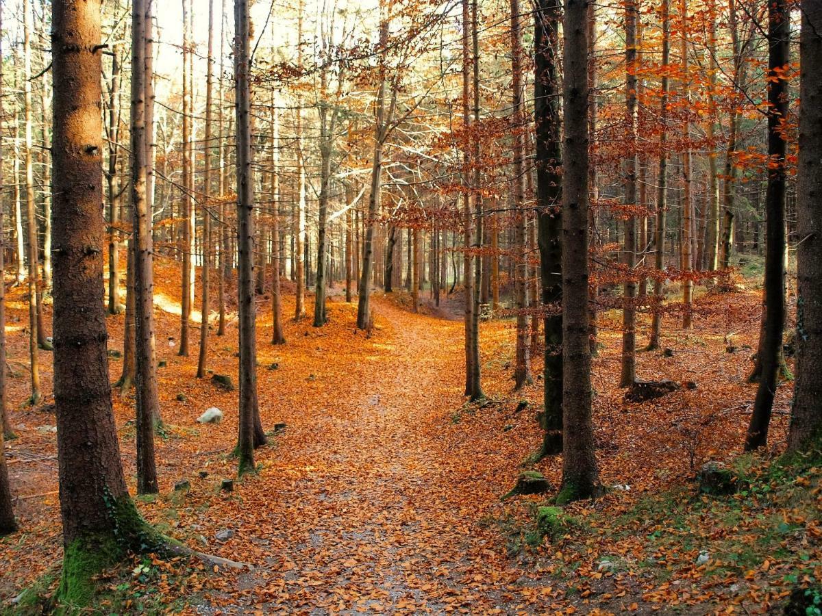 Апартаменты Bichlerhof Радфельд Экстерьер фото